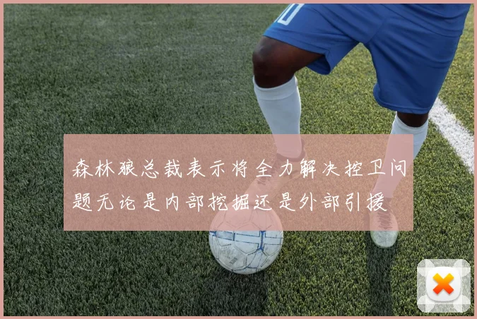 森林狼总裁表示将全力解决控卫问题无论是内部挖掘还是外部引援